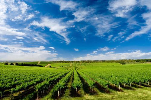 冬储将至，复合肥价格“涨”势难当？